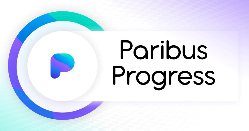 Parabus Protocol and Mainnet Launch after Bug Bounty Program