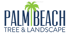 Palm Beach Tree & Landscape Highlights Factors to Consider During Tree Removal