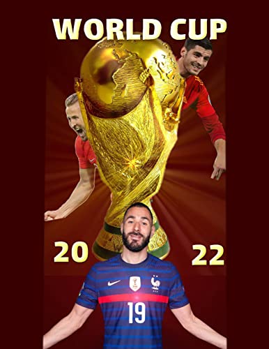 World Cup 2022: An Insightful Book Outlining The Competitors And The Spirit To Win the Qatar 2022 FIFA Football World Cup, By Shayan Afkari