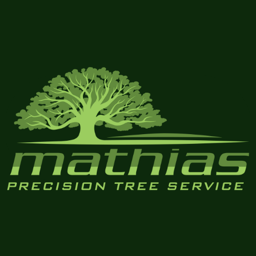 Mathias Precision Tree Service Offers Tree Removal and More This Holiday Season