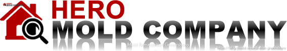 Hero Mold Company of Greensboro, NC Highlights the Traits of a Reliable Mold Removal Company