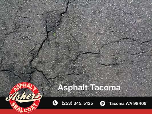 Asphalt Contractor: What to Expect During Installation