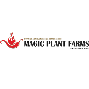 Magic Plant Farms Discusses the Story behind Dragons’ Breath as the New Unofficial Hottest Pepper in the World