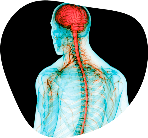 Central Nervous System Research Benefits from Decentralized Clinical Trial Solutions, According to ObvioHealth