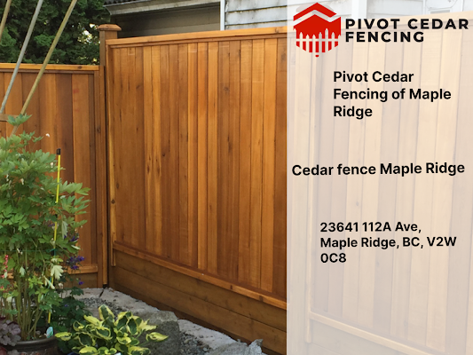 Help Protect and Conserve a Unique Specie: Learn How to Identify Cedar Fence Maple Ridge
