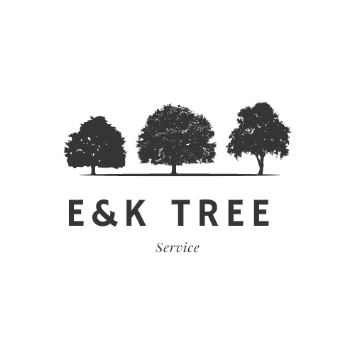 E&K Tree Service Announces the Re-Launch of their Tree Service Company