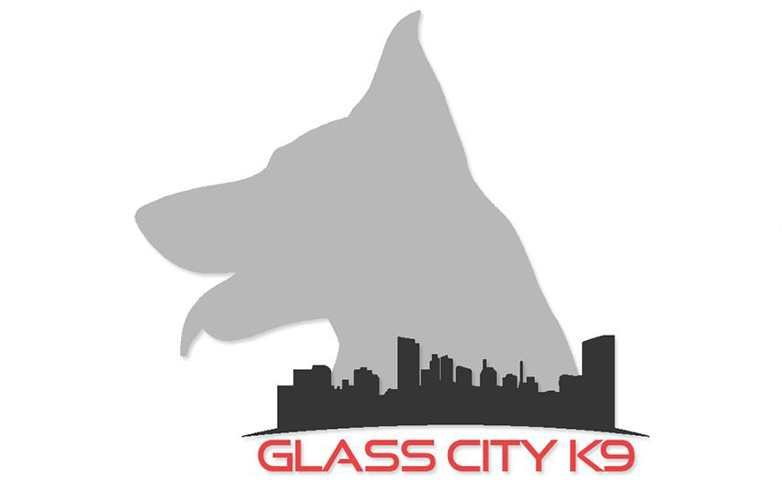 Glass City K9 LLC Highlights the Traits of a Professional Dog and Puppy Trainer