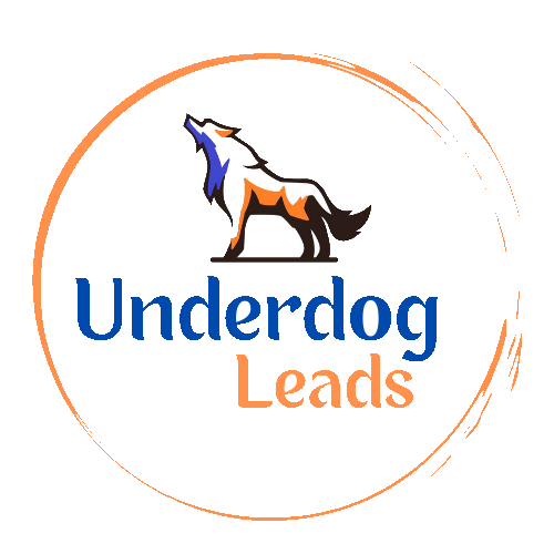 Underdog Leads Outlines the Procedure It Follows to Improve Clients’ Search Engine Rankings