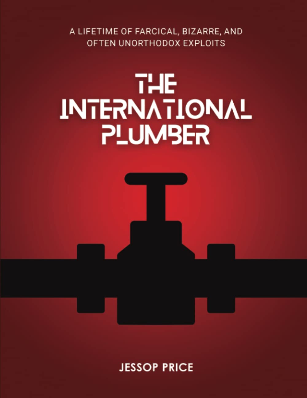 The International Plumber: A Memoir of Music, Engineering, and Adventures