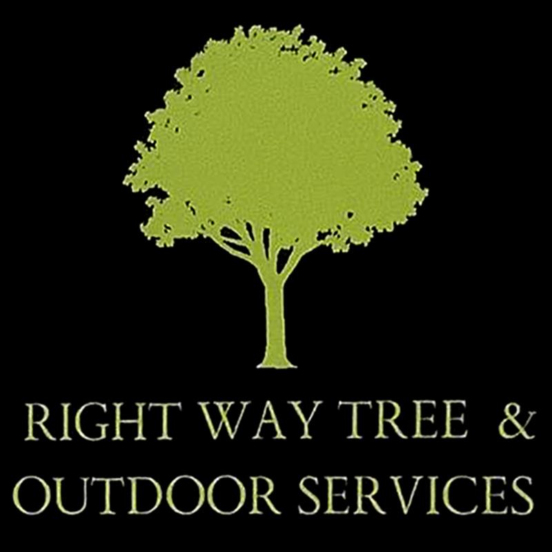 Peoria Tree Service Launches New Website and Expands Services