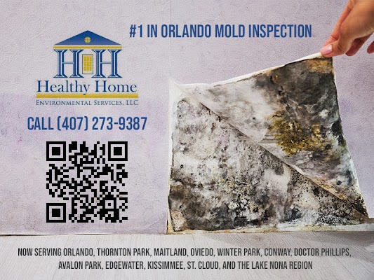 Why Homeowners Should Consider a Home Mold Inspection?