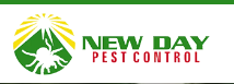 New Day Pest Control Explains How To Get Rid of Termites in NJ