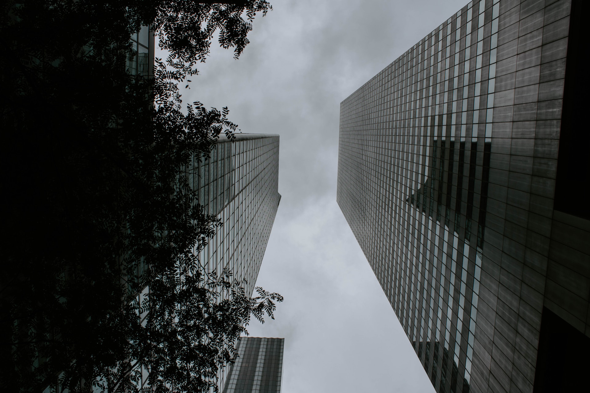 LenosTube Opens A New Office In New York, United States LenosTube Opens A New Office In New York, United States