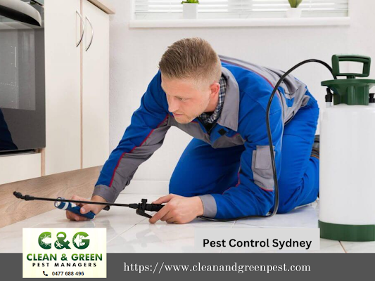 How to Keep Home Pest-Free Using Green Pest Control