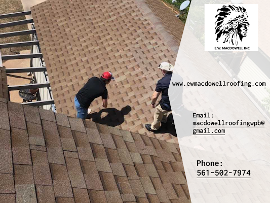 Roof Repair: When to Do It and When to Hire a Professional