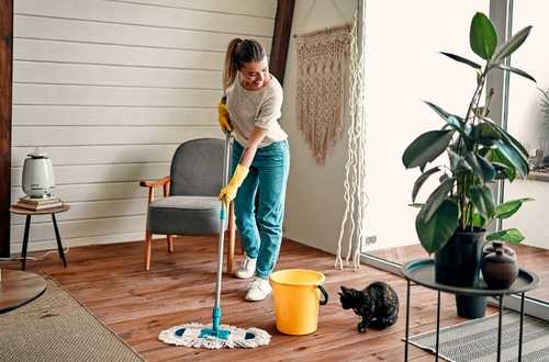 Find the Right Cleaner for a Home in Edmonton