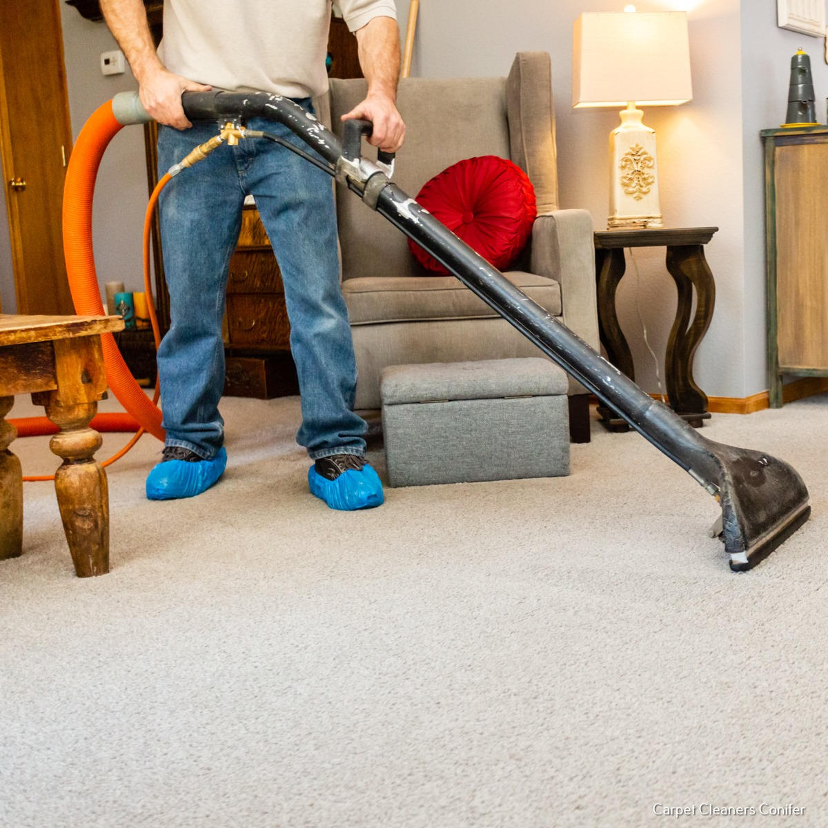 Mountain Best Carpet & Upholstery Cleaning Highlights it Deep Carpet Cleaning Process