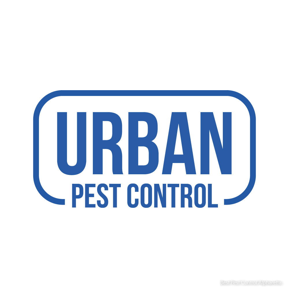 Urban Pest Control Explains How to Choose the Best Pest Control Company 
