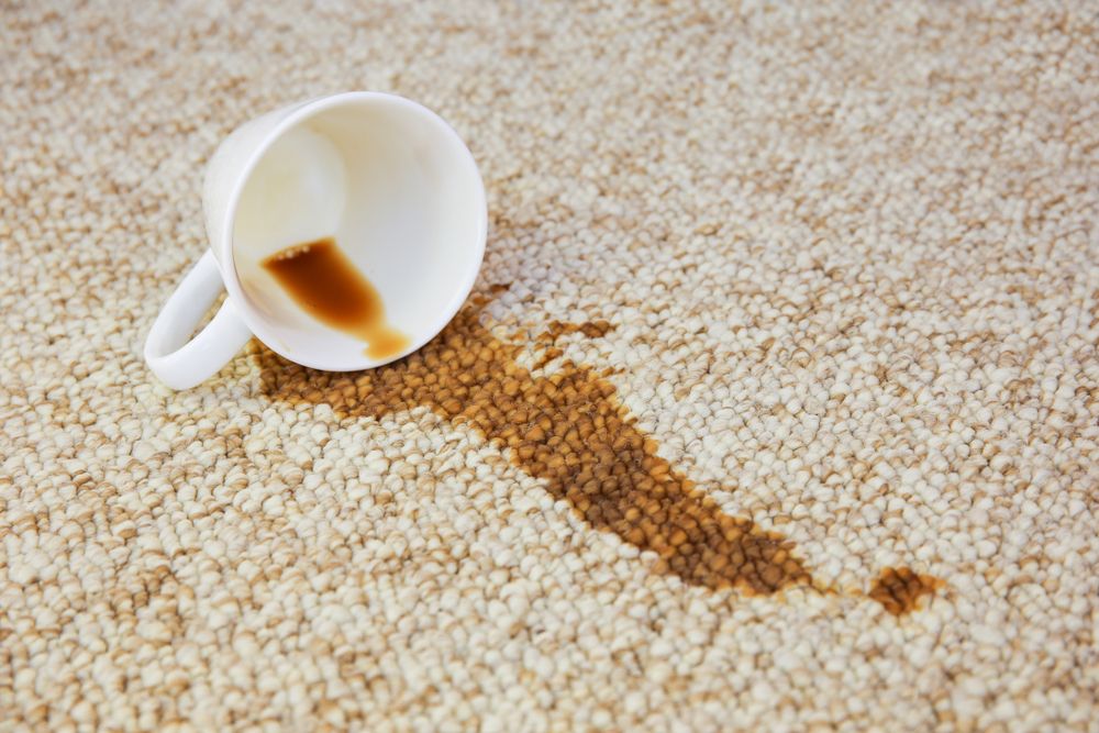 Get the Most Out of Home Carpets with Carpet Cleaning by My Carpet Cleaning