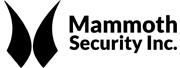 Mammoth Security Inc. New Britain Highlights Benefits of Security Cameras for Home Use