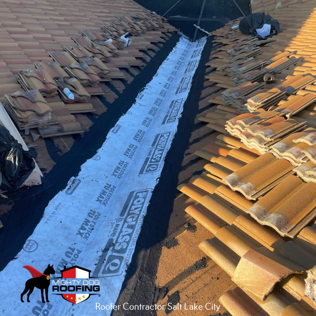 Mighty Dog Roofing - Salt Lake Area North Announces Its Roofing Solutions