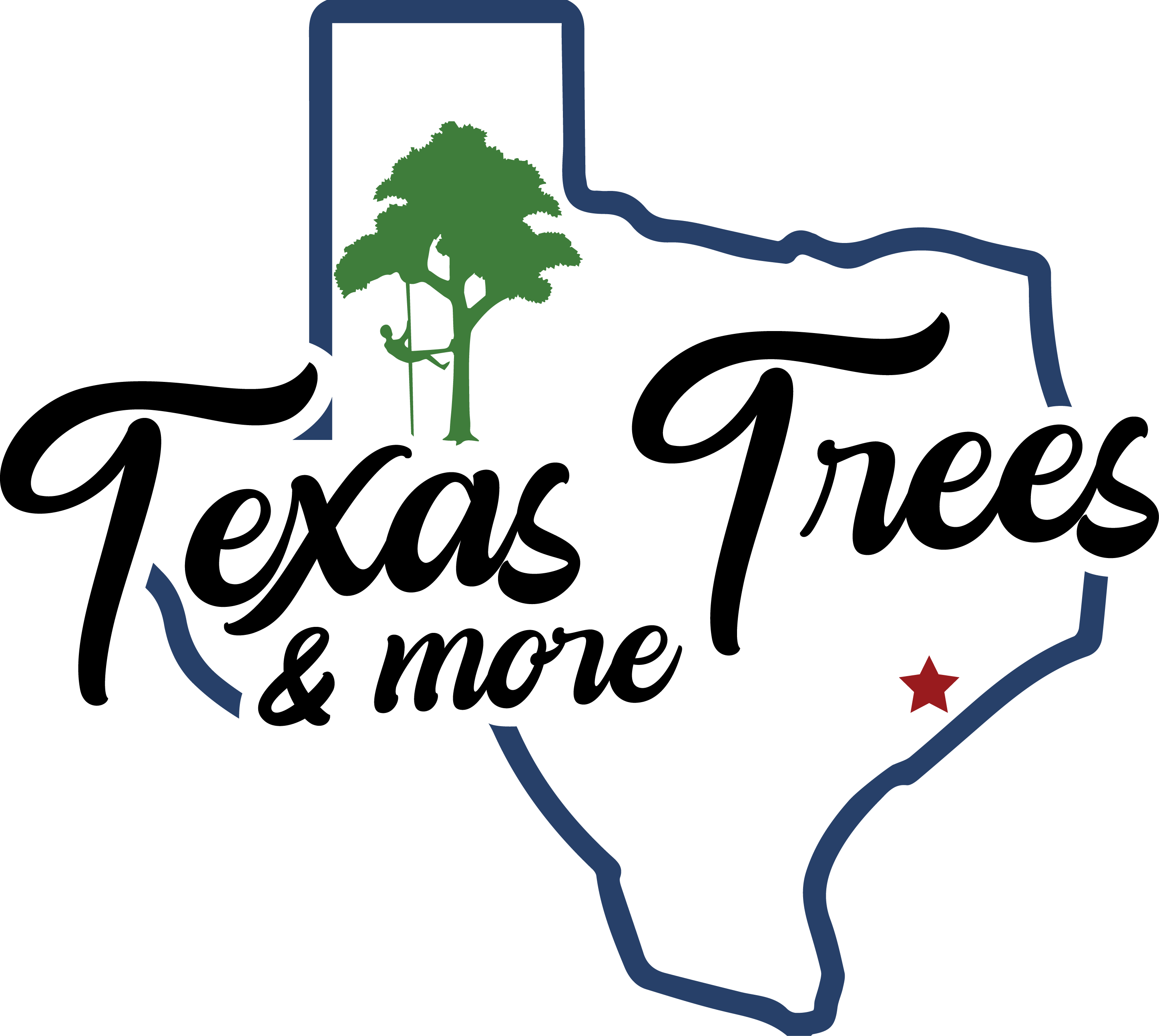 Texas Trees & More Boasts of Five-Star Google Ratings and Positive Customer Testimonials Texas Trees & More Boasts of Five-Star Google Ratings and Positive Customer Testimonials