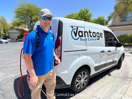 Vantage Pest Control Shares Their Most Requested Pest Control Services