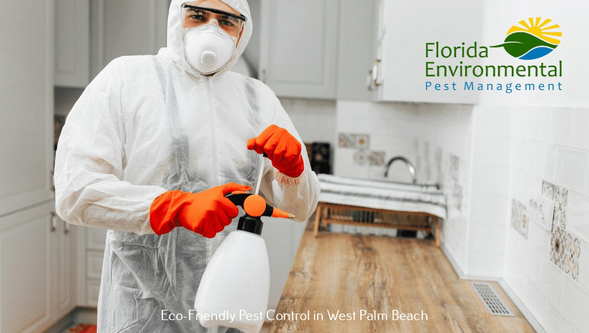 Florida Environmental Pest Management Highlights The Reasons To Hire A Professional Pest Control Company