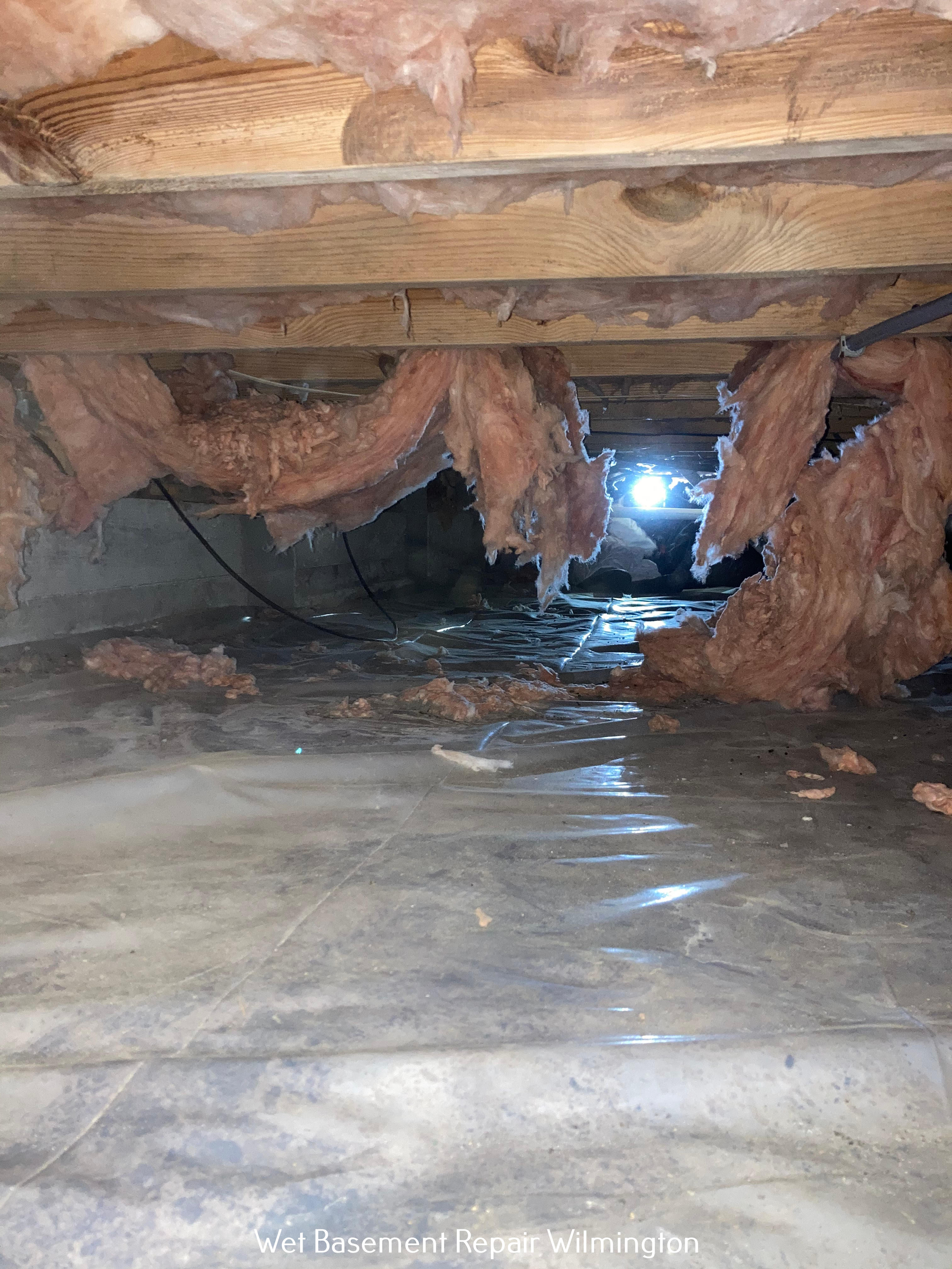 Wilmington's Crawl Space Ninja Outlines the Dangers of Neglecting Basement Waterproofing