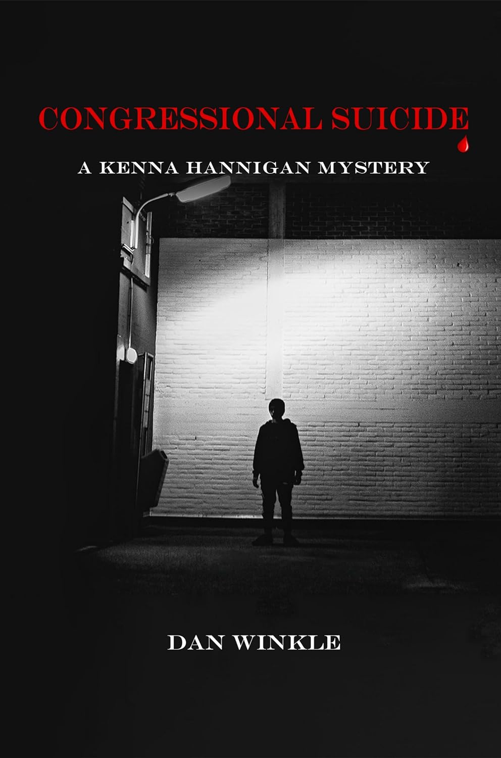 Dan Winkle Unveils Political Intrigues and Corruption in "Congressional Suicide: A Kenna Hannigan Mystery"
