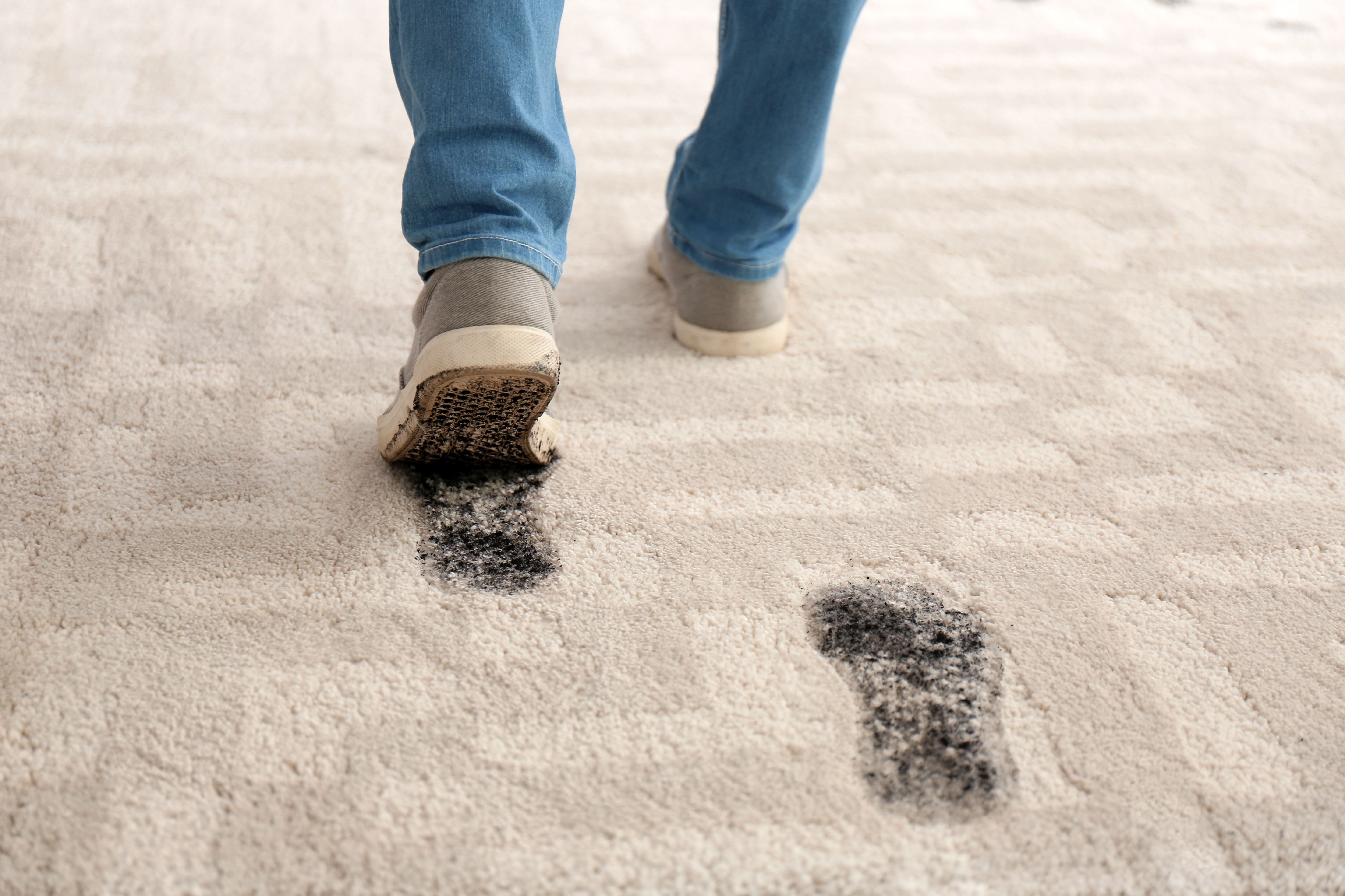 Rescue Home Carpets Easily with Professional Stain Removal by My Carpet Cleaning User