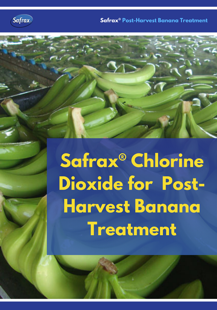 Safrax Chlorine Dioxide Revolutionizes the Post-Harvest Banana Industry