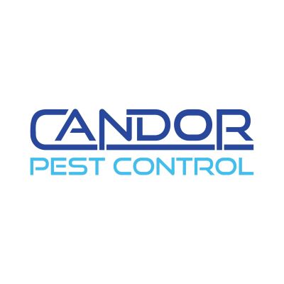 Candor Pest Control Boise: Reliable Exterminator Emerges as Top Service Provider for Prompt Pest Management Solutions