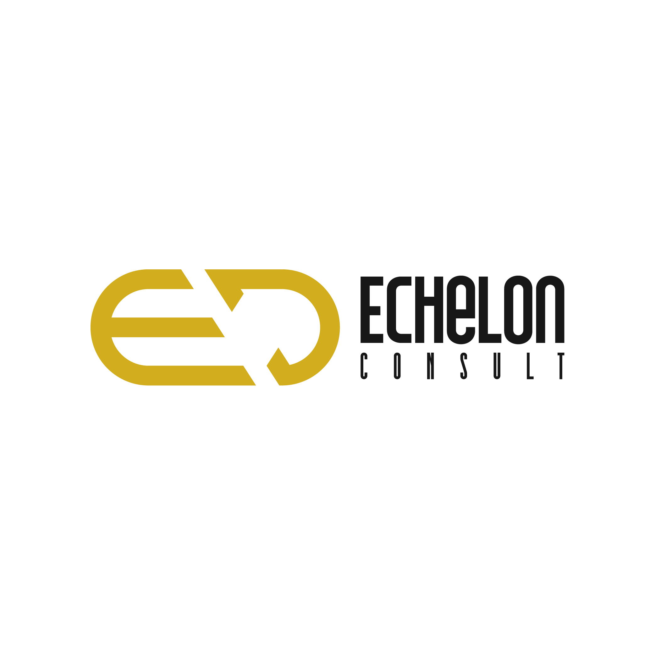 Echelon Consult Announces That it is Now Offering Fractional Services