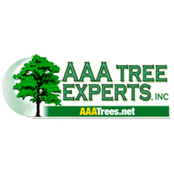 AAA Tree Experts Is the Premier Arborists for Tree Removal and Stump Grinding
