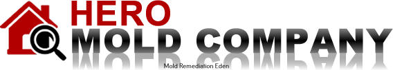 Free Quote and Quality Mold Inspection Services That Are Highly Effective