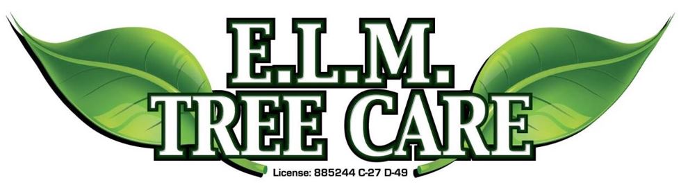 E.L.M. Tree Care Announces Successful Tree Pruning Case Study in Murrieta, CA of a Bottlebrush Tree