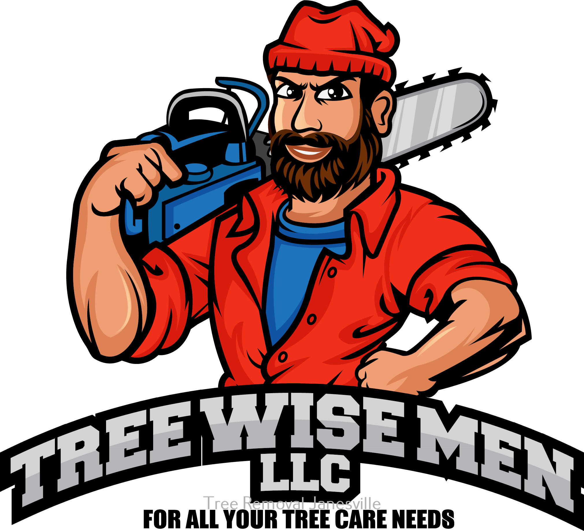 Tree Wise Men LLC Outlines Environmentally Conscious Practices in Tree Removal