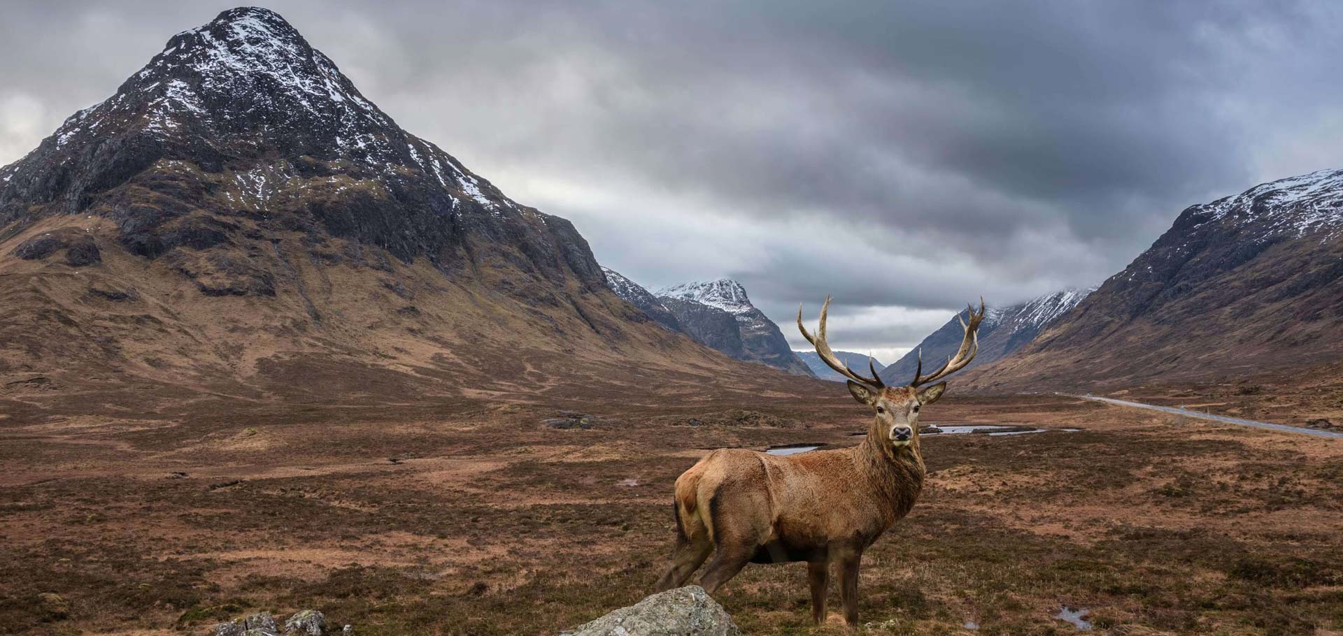 Salmon Fishing Holidays Scotland Announce New Fishing Holiday Packages