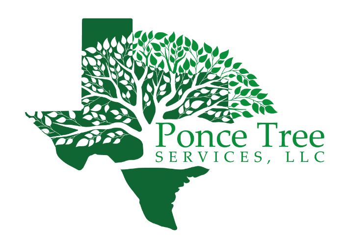 Ponce Tree Services Crowned Best In Tree Service Dallas A Cut Above